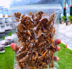 ปลากรอบง่า