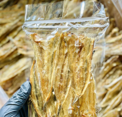 ปลาช่อนทะเล